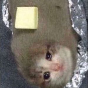 Meet your Posher, Eek